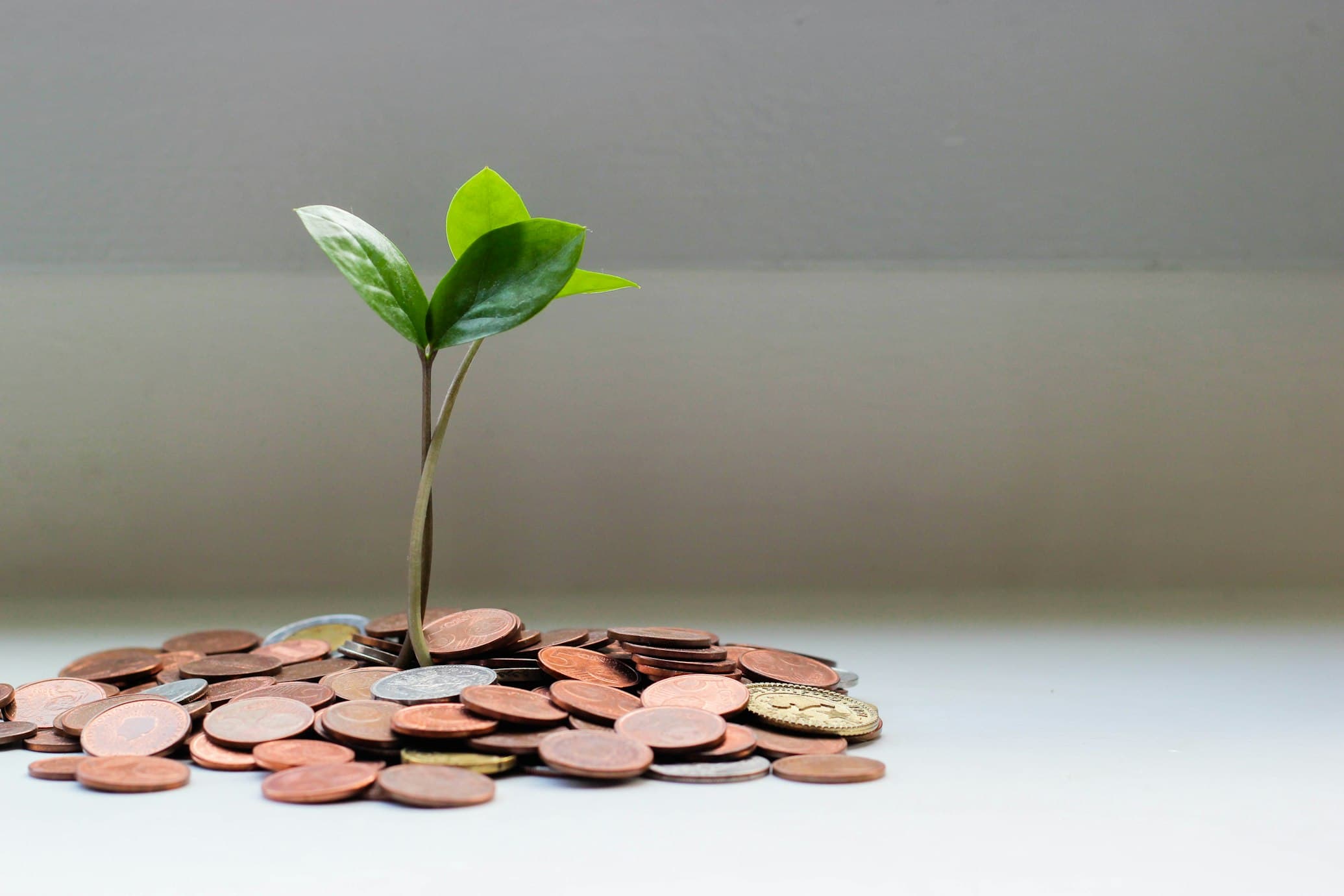 Financial Services