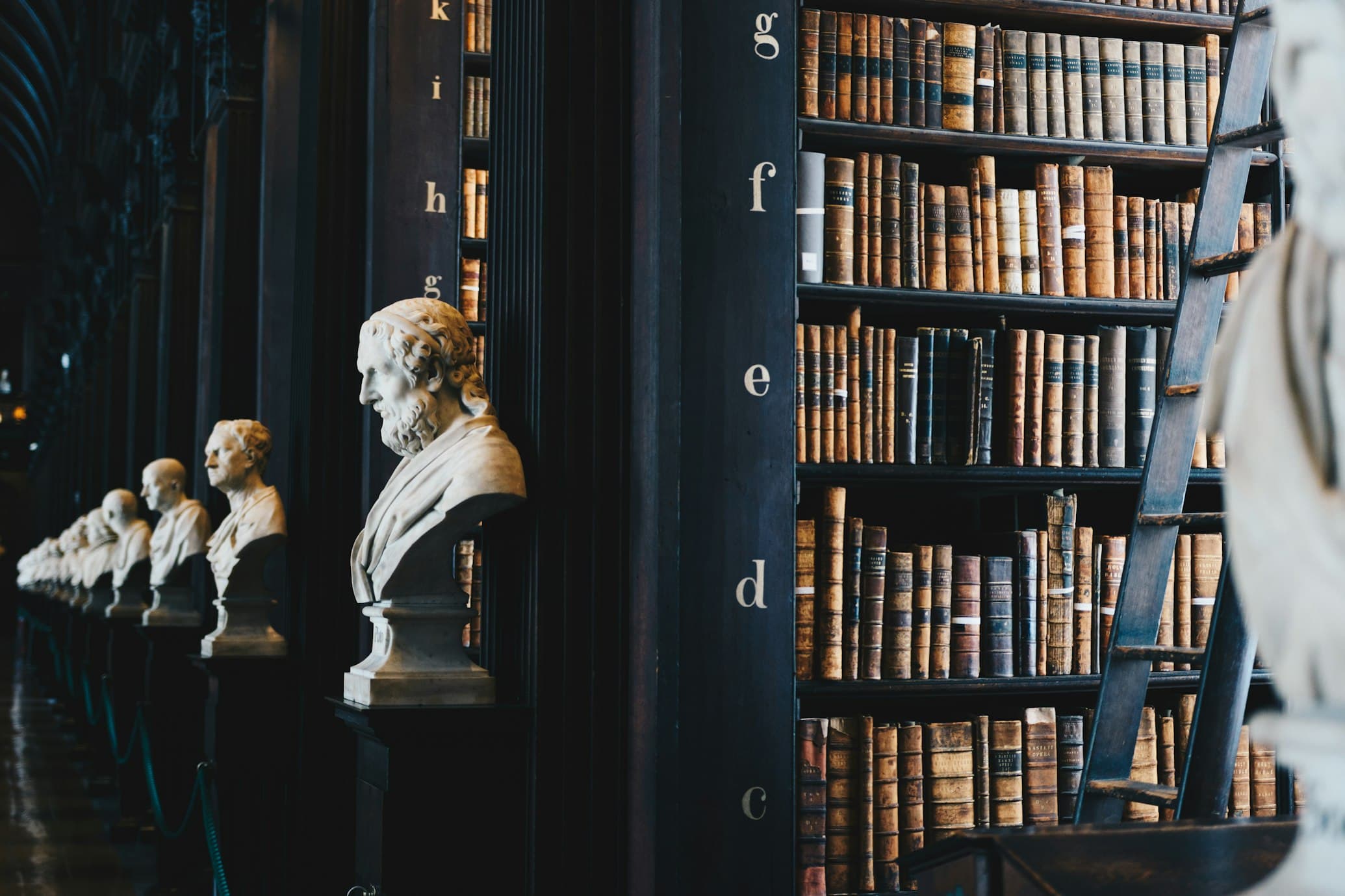 Legal Services & Law Firms